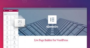Elementor plugin