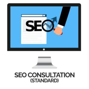 SEO Consultation Service - Standard